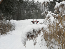 IMG 20180121 123312.jpg