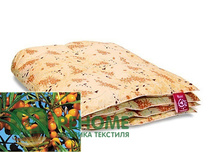 ������ ��������