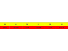 � ����.����