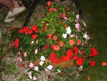 ��������� ����� ����� �����. ����. ����� ������ �� ���������2.jpg