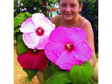 �������� ������� ������.jpg