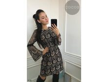 Plate-5278.jpg  1023���