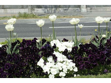 ����� ������ � ����� ��������� �����������.jpg