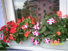 ��������� ������� ���������.jpg