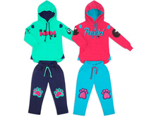 ������ ��� ������� PANDA No1