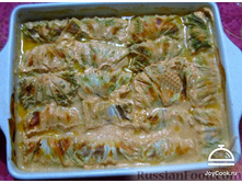 ������� ���������. ������������� ����ޣ����.jpg