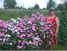 �������� ������� ����, �����2.jpg