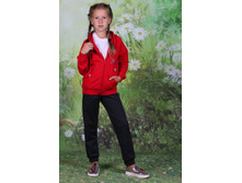 ������ ������� ���������� 28-44 (650 ���)80%������, 20%������ ������� ������� ����� ����������.jpg