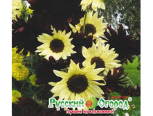 ������������ ���� � ������, ����� 9,10 ���. (0,5 ��.).jpeg