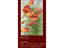 �-205 ���� ���� ������ (��) 31�51 ���� 1123 ���.png