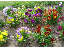 ����� �������� ������� (2).jpg