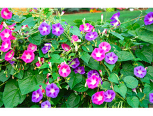 ������ �������� �������..jpg