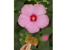 �������� ��. ����6. ����� ������ �� ���������.jpg