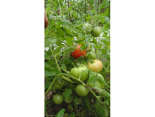 ����� �������� ������ ������ ������ ���. ����.JPG