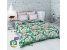 5581-1 ��������.jpg