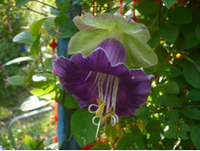 ����� ���������2.jpg