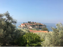 IMG 7870.JPG