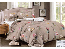 ���������� ����� �������� (�����)