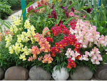 ������� ��� ��� ����..jpg