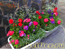 ����� ��������� �����.jpg