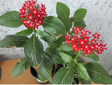 59a3a087b21a0 016.jpg