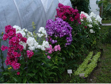 ������ ����� � ����.jpg