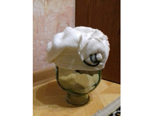 ����� (�����) �������