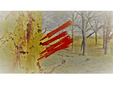 ����������� 2,5�.jpg