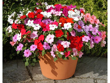 .��������� ����� ����� �����. ����. ����� ������ �� ���������.jpg