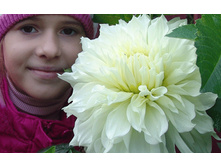 �������� ������� ������.2.jpg