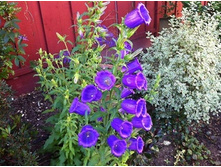 ����������� ����������� ����� �������, ���� �� ��������� � �����.jpg