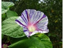 ������ �������� �������, ���� �� ��������� � �����2.jpg