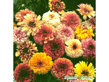 ���������� �������, ����� 9,10 ���. (0,3 ��.).jpeg