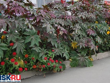 .��������� ������������ �����. ����. ����� ������ �� ���������.jpg