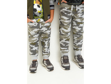 20110160137   Cat          (      ).jpg