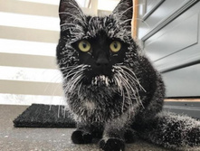 ������ ��� � ����