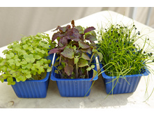 ����������� ���. ����.jpg