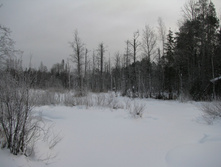 IMG 8225.jpg