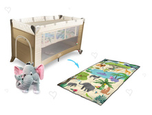 �����-������� Intelletto 5 � 1