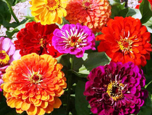 ������ �������������� ������� 11,4 ���. ������ �� 14 ��. � ��������