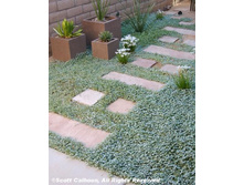 �������� ������� � �������, �����8.jpg