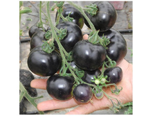 ����� F1 ������ ������ 6.jpg