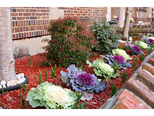 ������� ������������.2.jpg