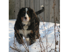 3 ������ 044.JPG