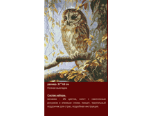 �-308 ������� ���� ������ (��) 37�48 ���� 1334 ���.png