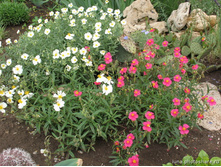 ���������� (�����)2.jpg