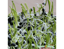 ����������� ������� ����� 19 ���. (10 ��.) - ������� �������. ����� � �����.jpeg