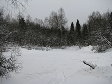 IMG 8267.jpg