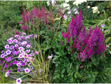 ���� �� ���