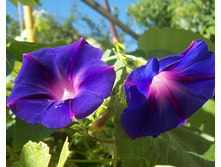 ������ �������� �������. �����.jpg